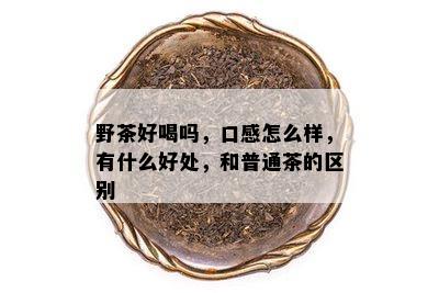 野茶好喝吗，口感怎么样，有什么好处，和普通茶的区别