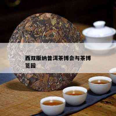 西双版纳普洱茶博会与茶博览园