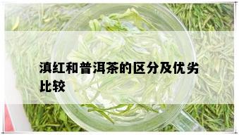 滇红和普洱茶的区分及优劣比较