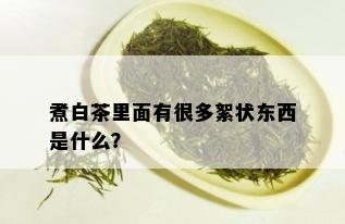 煮白茶里面有很多絮状东西是什么？