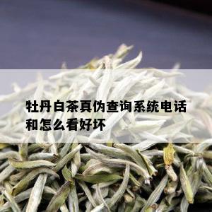 牡丹白茶真伪查询系统电话和怎么看好坏