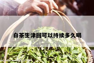 白茶生津回可以持续多久喝