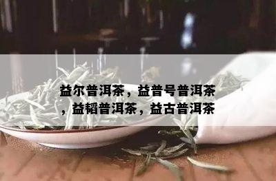 益尔普洱茶，益普号普洱茶，益韬普洱茶，益古普洱茶