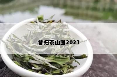 昔归茶山图2023