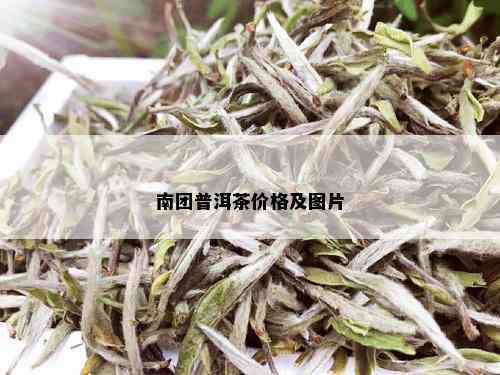 南团普洱茶价格及图片