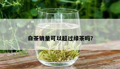 白茶销量可以超过绿茶吗？