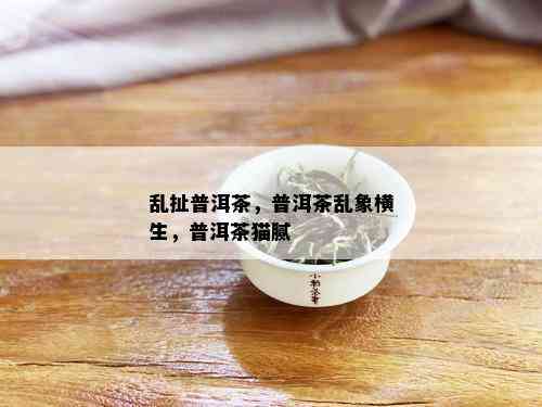 乱扯普洱茶，普洱茶乱象横生，普洱茶猫腻