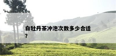 白牡丹茶冲泡次数多少合适？