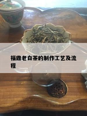 福鼎老白茶的制作工艺及流程