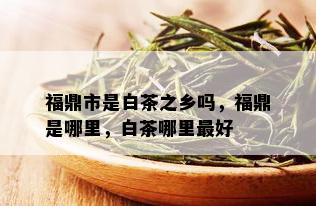 福鼎市是白茶之乡吗，福鼎是哪里，白茶哪里更好