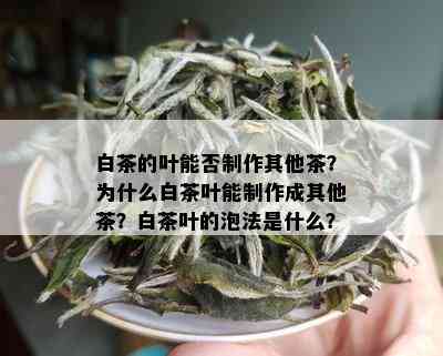 白茶的叶能否制作其他茶？为什么白茶叶能制作成其他茶？白茶叶的泡法是什么？