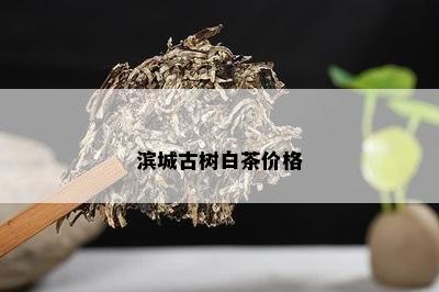 滨城古树白茶价格