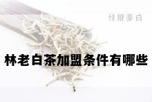 林老白茶加盟条件有哪些