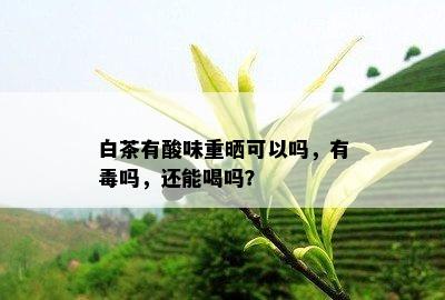 白茶有酸味重晒可以吗，有吗，还能喝吗？