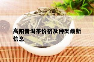 高阳普洱茶价格及种类最新信息