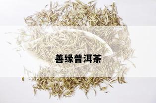 善缘普洱茶