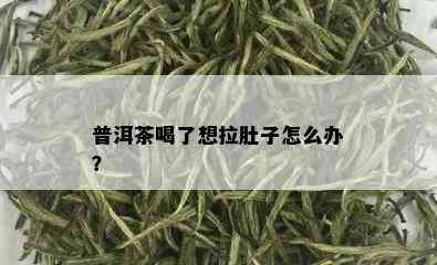 普洱茶喝了想拉肚子怎么办？