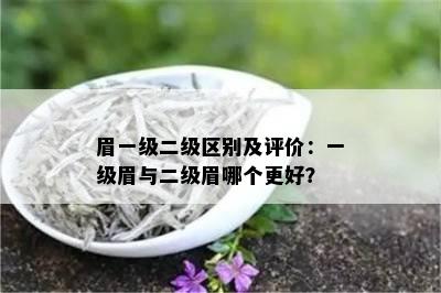 眉一级二级区别及评价：一级眉与二级眉哪个更好？