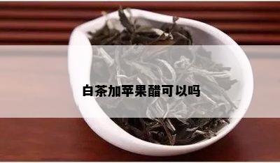 白茶加苹果醋可以吗