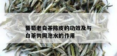 葡萄老白茶陈皮的功效及与白茶共同泡水的作用