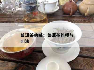 普洱茶呐喊：普洱茶的梗与叫法