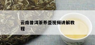 云南普洱茶养壶视频讲解教程