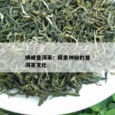 横峰普洱茶：探索神秘的普洱茶文化