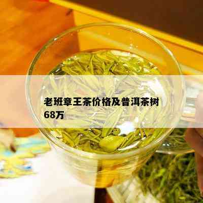 老班章王茶价格及普洱茶树68万