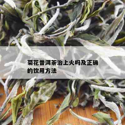 菊花普洱茶治上火吗及正确的饮用方法