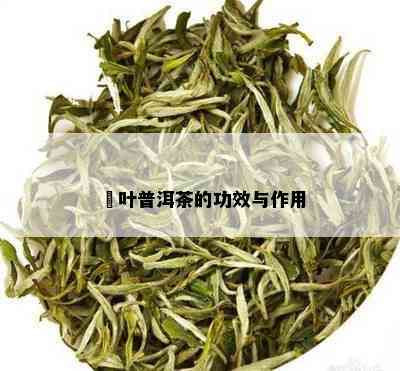 燚叶普洱茶的功效与作用