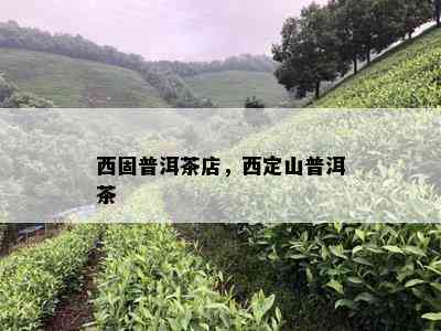 西固普洱茶店，西定山普洱茶