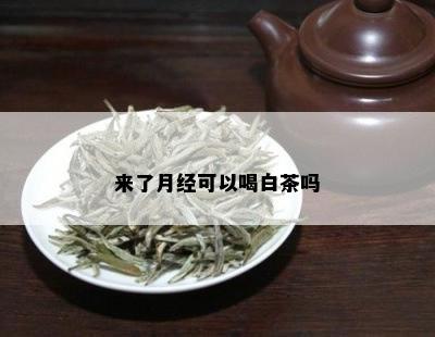 来了月经可以喝白茶吗