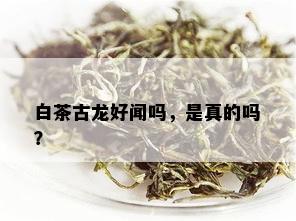 白茶古龙好闻吗，是真的吗？