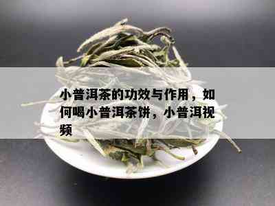 小普洱茶的功效与作用，如何喝小普洱茶饼，小普洱视频