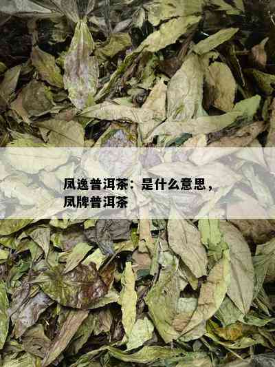 凤逸普洱茶：是什么意思，凤牌普洱茶