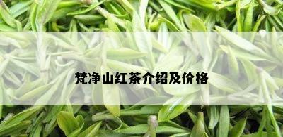 梵净山红茶介绍及价格