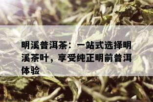 明溪普洱茶：一站式选择明溪茶叶，享受纯正明前普洱体验