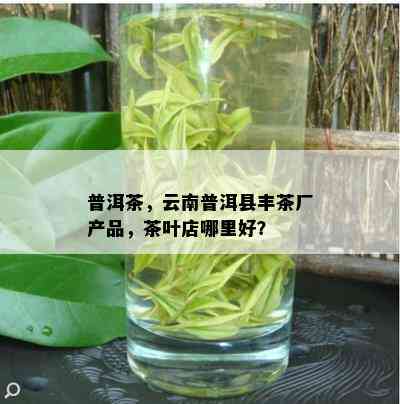 普洱茶，云南普洱县丰茶厂产品，茶叶店哪里好？