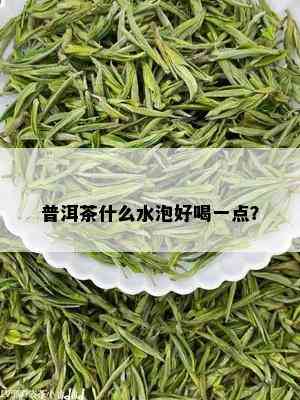 普洱茶什么水泡好喝一点？