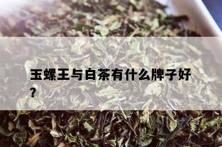 玉螺王与白茶有什么牌子好？