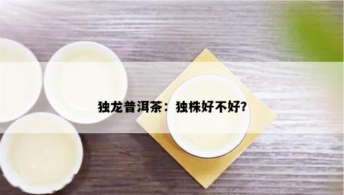 独龙普洱茶：独株好不好？