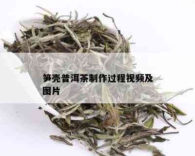 笋壳普洱茶制作过程视频及图片