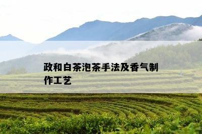 政和白茶泡茶手法及香气制作工艺