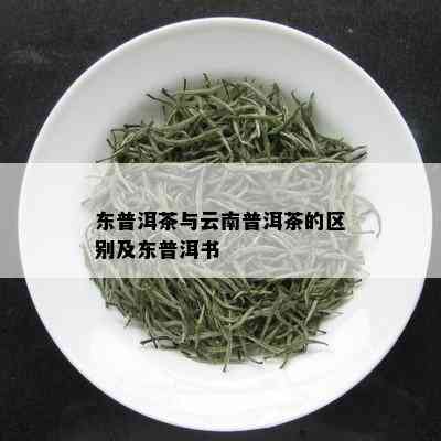 东普洱茶与云南普洱茶的区别及东普洱书