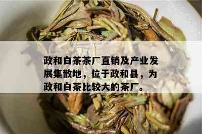 政和白茶茶厂直销及产业发展集散地，位于政和县，为政和白茶比较大的茶厂。