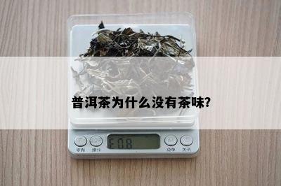 普洱茶为什么没有茶味？