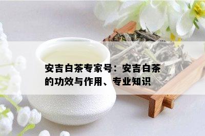 安吉白茶专家号：安吉白茶的功效与作用、专业知识