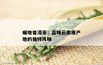 暖地普洱茶：品味云南原产地的独特风味