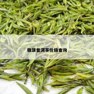 雅颂普洱茶价格查询