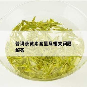 普洱茶黄素含量及相关问题解答